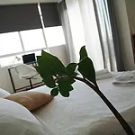 Nona's 公寓