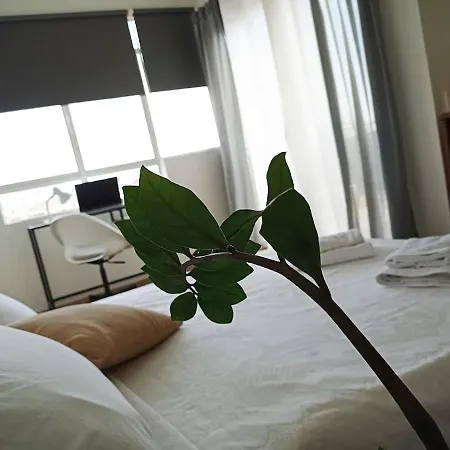Nona's Apartment